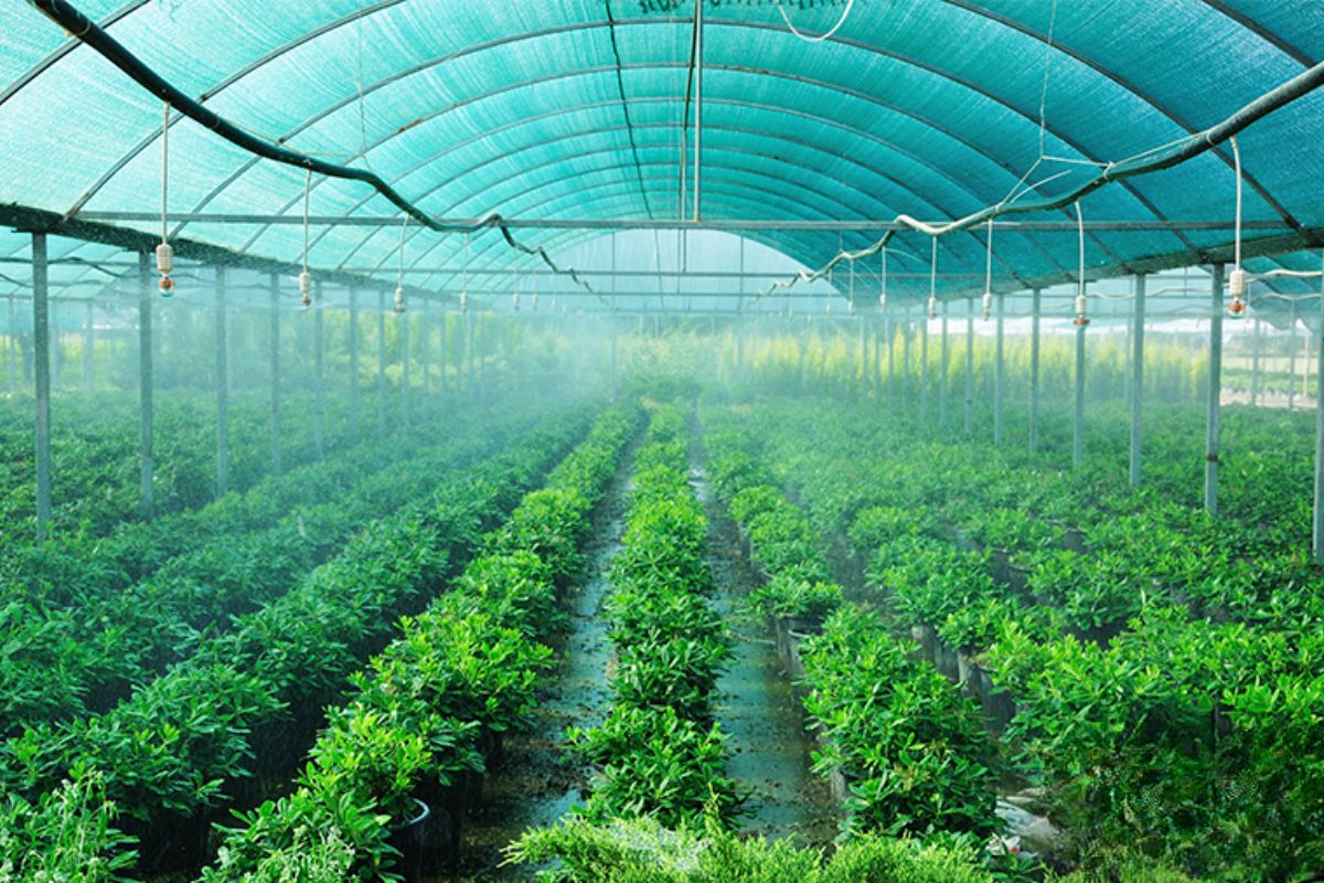 Shade nets, drip irrigation, and polyhouse components